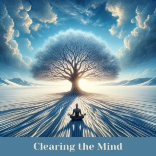 Clearing the Mind: Meditations for Mental Clarity