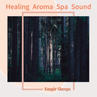 Healing Aroma Spa Sound