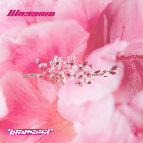 Blossom (Radio Edit)