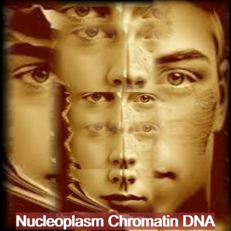 Nucleoplasm Chromatin Dna | Boomplay Music