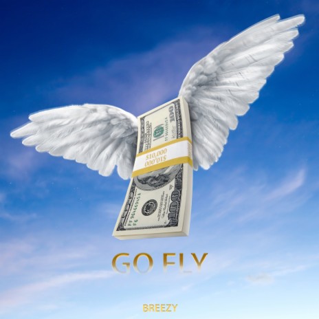 Go Fly | Boomplay Music