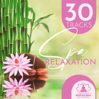 30 Tracks: Spa Relaxation – Healing Treatments for Mind Body & Soul