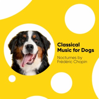 Classical Music for Dogs: Nocturnes by Frédéric Chopin