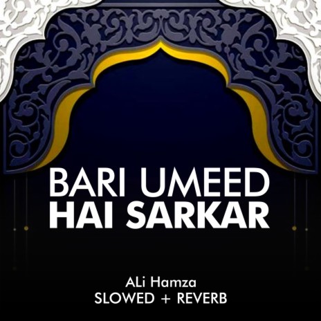 Bari Umeed Hai Sarkar Lofi | Boomplay Music