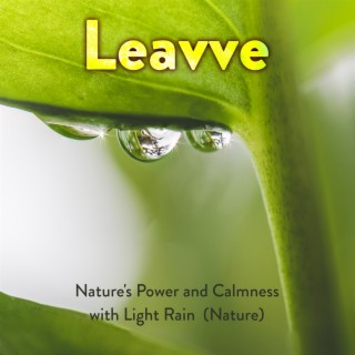 Nature's Power and Calmness with Light Rain (Nature)