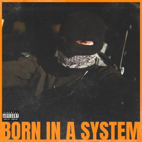 Born In a System | Boomplay Music