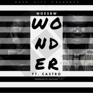 Wonder (feat. Castro)