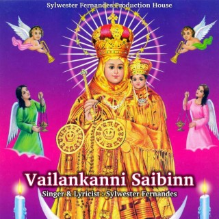 Vailankanni Saibinn