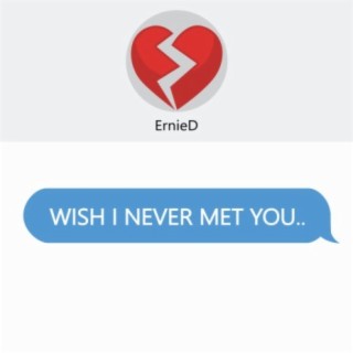 Wish I Never Met You