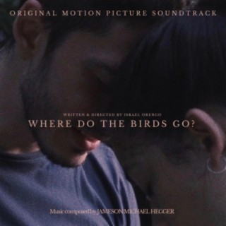 Where Do The Birds Go (Original Motion Picture Soundtrack)