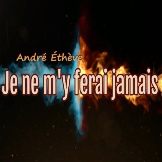 Je ne m'y ferai jamais lyrics | Boomplay Music