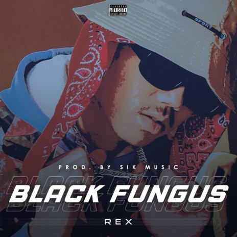 Black Fungus | Boomplay Music