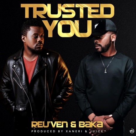 Trusted you | Boomplay Music