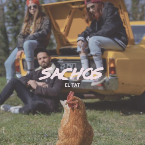 Sachos