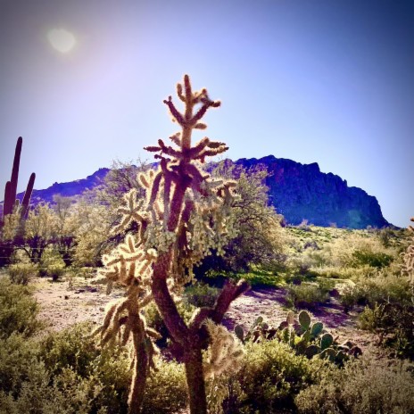 Arizona | Boomplay Music