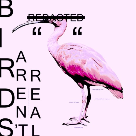 birds aren't real