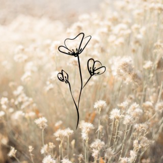 Flowers shining