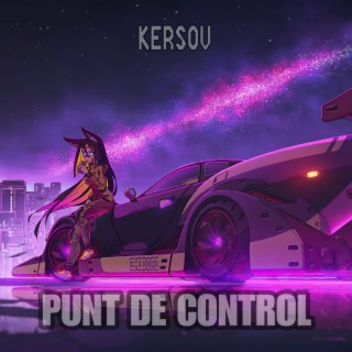 Punt De Control