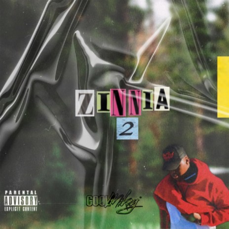 ZINNIA II (INTRO) | Boomplay Music
