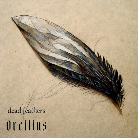 Dead Feathers | Boomplay Music