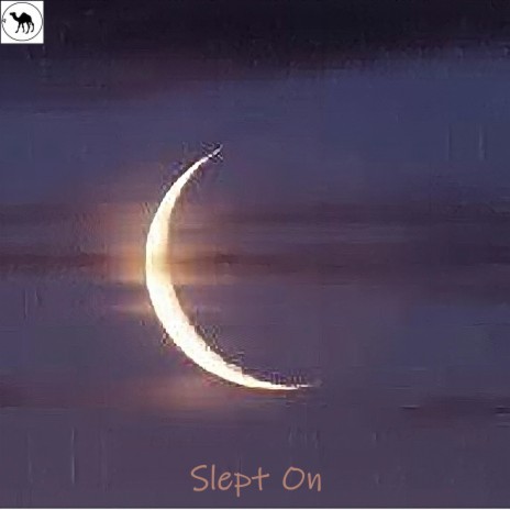 Slept on | Boomplay Music
