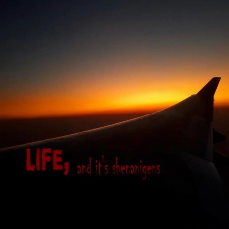 Life and it's shenanigens | Boomplay Music