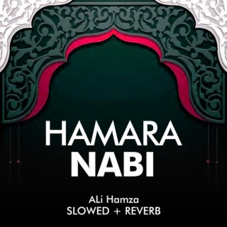 Hamara Nabi Lofi