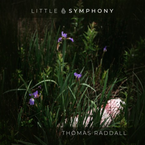 Thomas Raddall | Boomplay Music