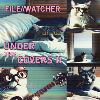 Under the Covers vol.2