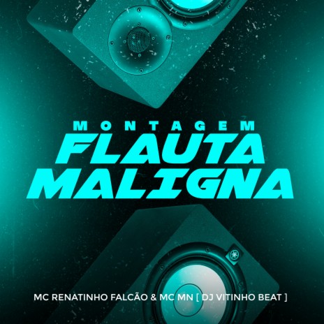 Montagem Flauta Maligna ft. Mc Renatinho Falcão & DJ Vitinho Beat | Boomplay Music