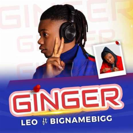 Ginger (ft Bignamebigg) | Boomplay Music