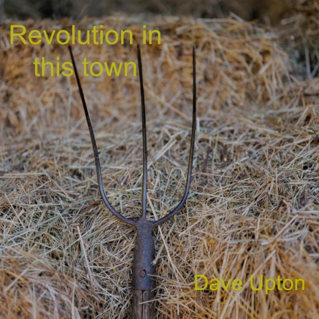 Revolution in this town | Boomplay Music