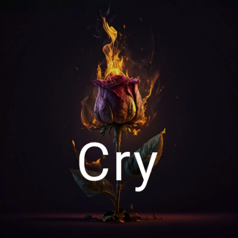 Cry | Boomplay Music