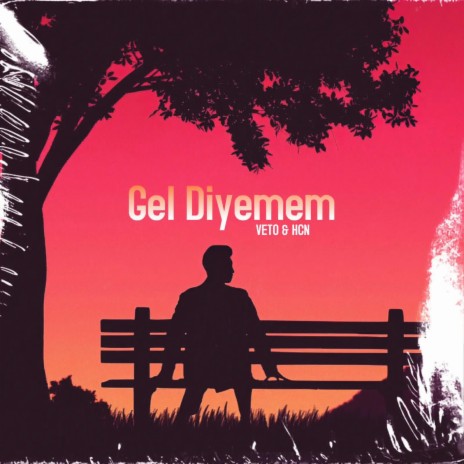 Gel Diyemem ft. Veto | Boomplay Music