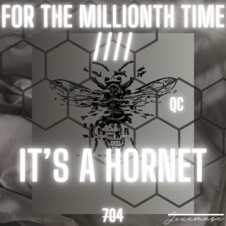 For the millionth time////It's a hornet