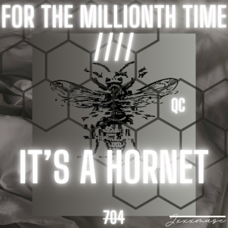 For the millionth time////It's a hornet