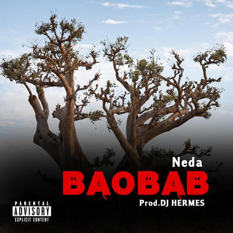 BAOBAB | Boomplay Music