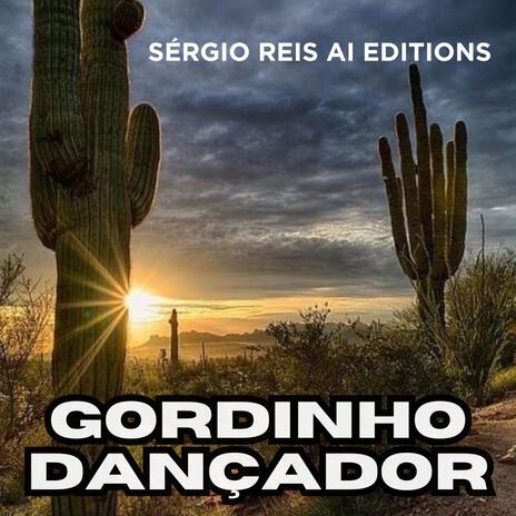 Gordinho Dançador | Boomplay Music