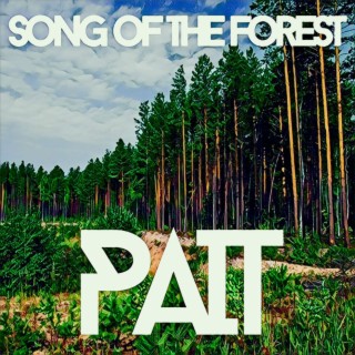 Song Of The Forest