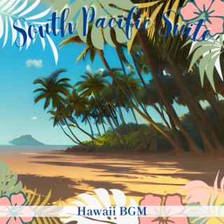 Hawaii BGM