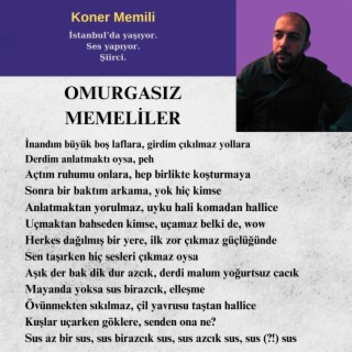 Omurgasız Memeliler