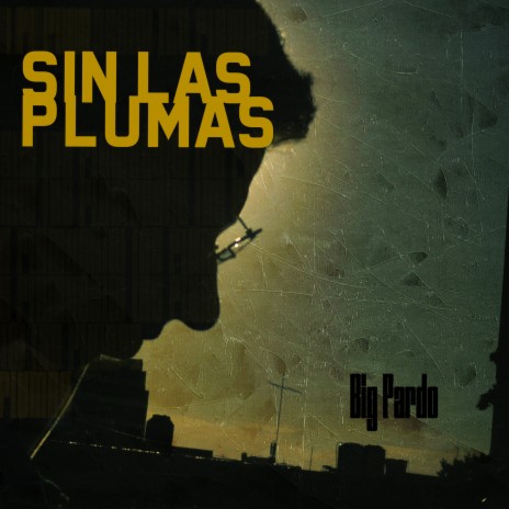 Sin Las Plumas | Boomplay Music