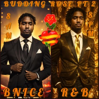 BUDDING ROSE Pt. 2 8AM/8PM