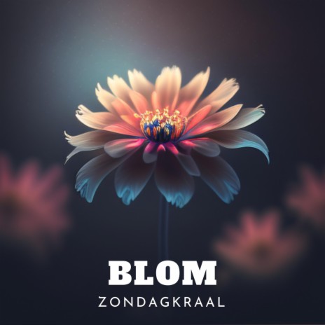 Blom | Boomplay Music