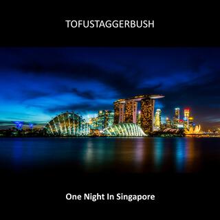 One Night In Singapore