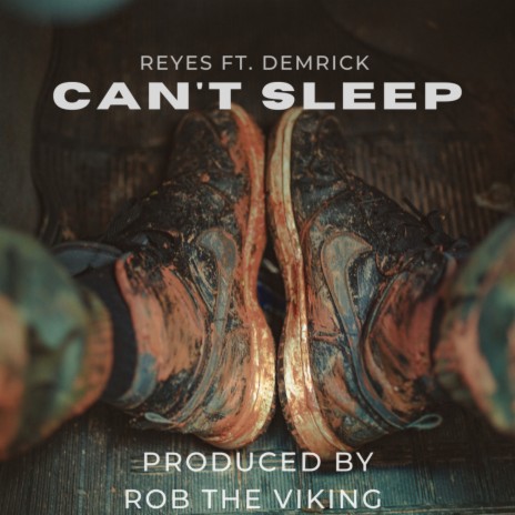 Can't Sleep ft. Demrick & Rob The Viking | Boomplay Music