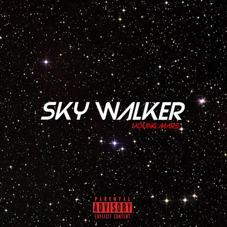 SKYWALKER | Boomplay Music