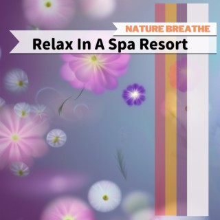 Relax In A Spa Resort