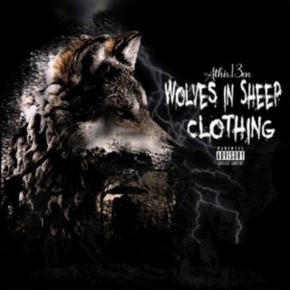 Wolves in Sleep Clothing