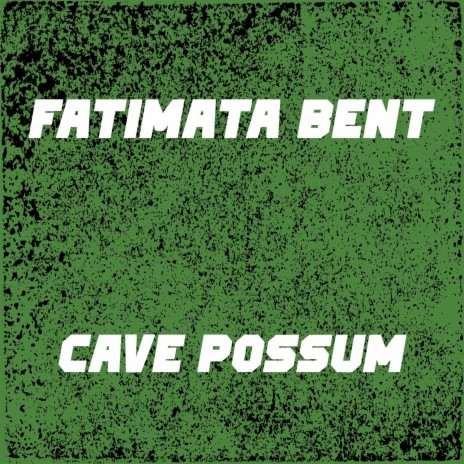 Cave Possum (Radio Edit) | Boomplay Music